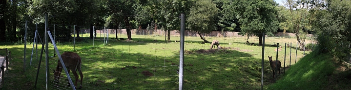 [5] pano, 100CANON, 7 images, IMG_2920 - IMG_2926 - 6381x1657 - SCUL-Smartblend.jpg - Enclos de cerfs du vietnaam et nigauts